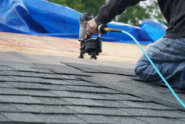 Best Roof Leak Repair  in Bear Creek, AK